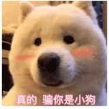 。