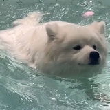 漩涡鸣人