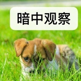 是是非非