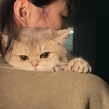 奶牛