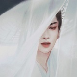 小羊麻麻