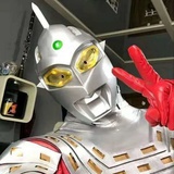执着的韭菜