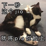偶尔有个瓜