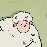sheep