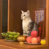 八难三途