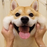 吃货