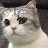 李飞没有心