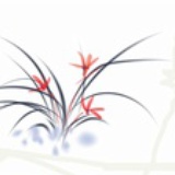 非鱼