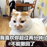 三号小马