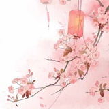 柚花若叶
