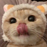 青柠薄荷