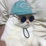 ，，，，，，