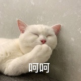 呵哒