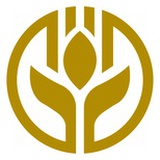 金元现代农业