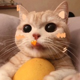 随便嗑一嗑