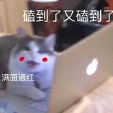 飞跃地平线