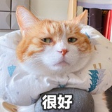 宿舍IU