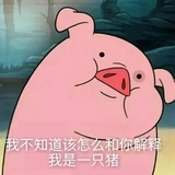 大猪崽