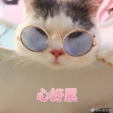 tintinsoul
