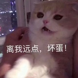 别问我是谁