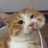 噫