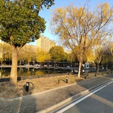夏虫