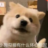 超啊超