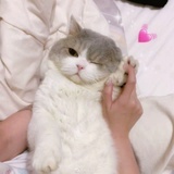 绝世小仙女