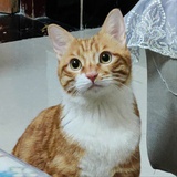 探索