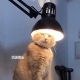 emmmm