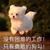 博妮塔