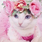 爱看财经的妹子