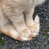 吾之所以惑