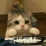 咩啊咩啊