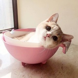 珈鸭