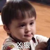 多肉柚子