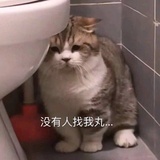 不要认识我