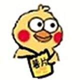 兔子先生说你好