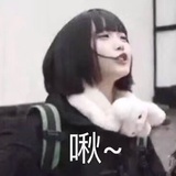 机智的琳琳琳
