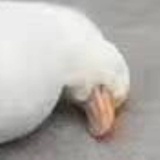 ？