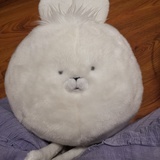 一只鸭脖子