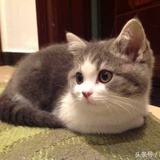 似水流年