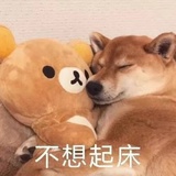 煮茶