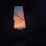 塔塔