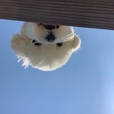不存在的人