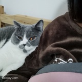戳锅