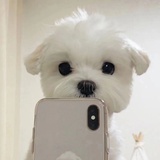 啥都想吃