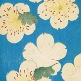 壮我复联