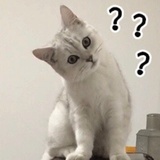胡老大