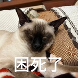 取个什么奇怪名